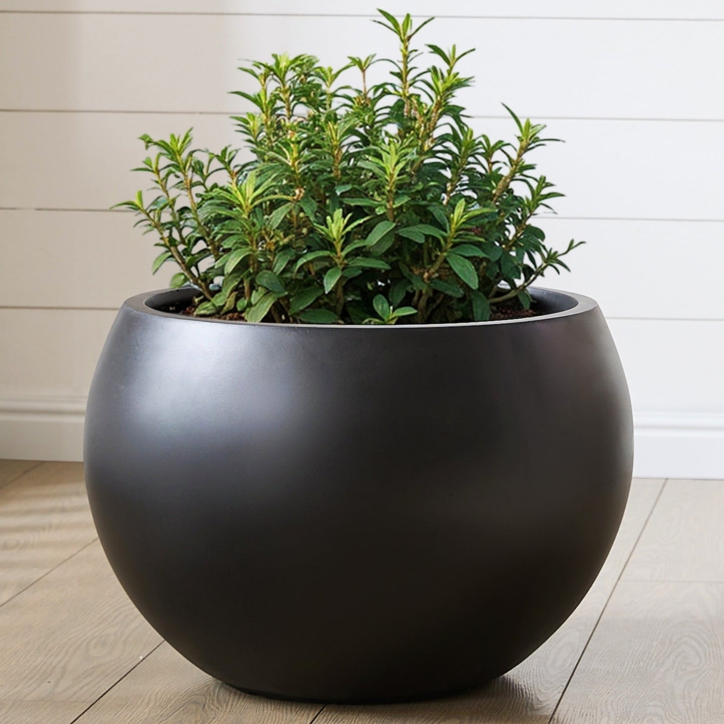 15.8" D x 10.9" H Fiberstone Sphere Planter, Black, 11.8" Pot Opening, Ball Shape Flower Pot with Drainage Hole, Weather Resistance Indoor/Outdoor Planters