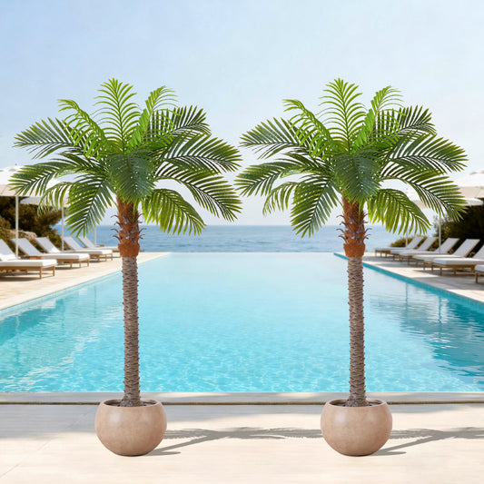6FT Artificial Coconut Palm Tree (Set of 2), Realistic Faux Sago Palm Plants for Indoor & Outdoor, Large Tropical Fake Trees for Home Office Garden Patio Poolside Decor